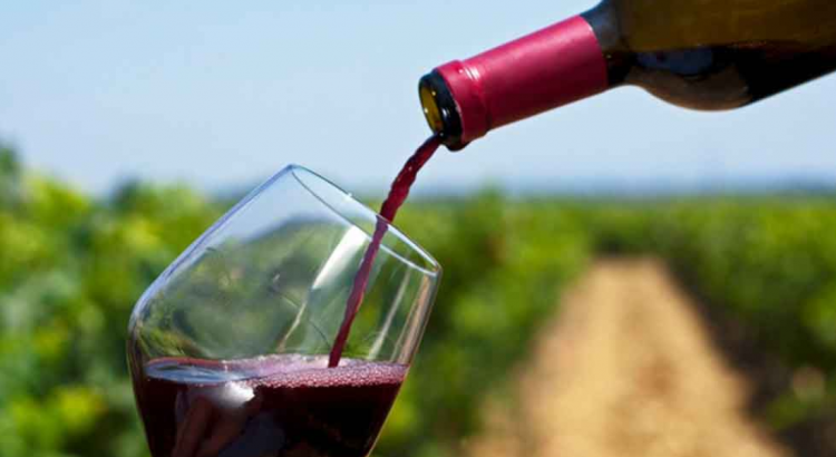 Decanter World Wine Awards: viñedos de Baja California han sido premiados