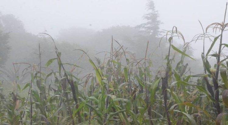 Bombardeo de nubes con yoduro de plata resulta exitoso