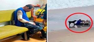 Cuatro perros muerden a un hombre en la playa