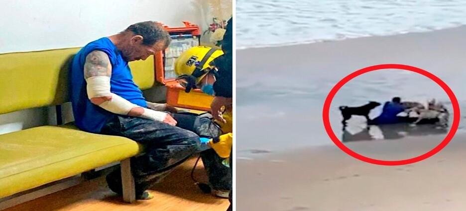 Cuatro perros muerden a un hombre en la playa