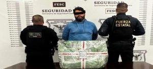 Decomisan cien cajas de cartuchos de “wax” en dos operativos