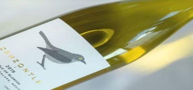 Baja California ganó 40 medallas por sus diferentes variedades de vino