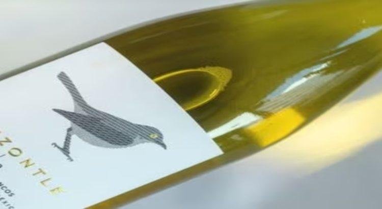 Baja California ganó 40 medallas por sus diferentes variedades de vino