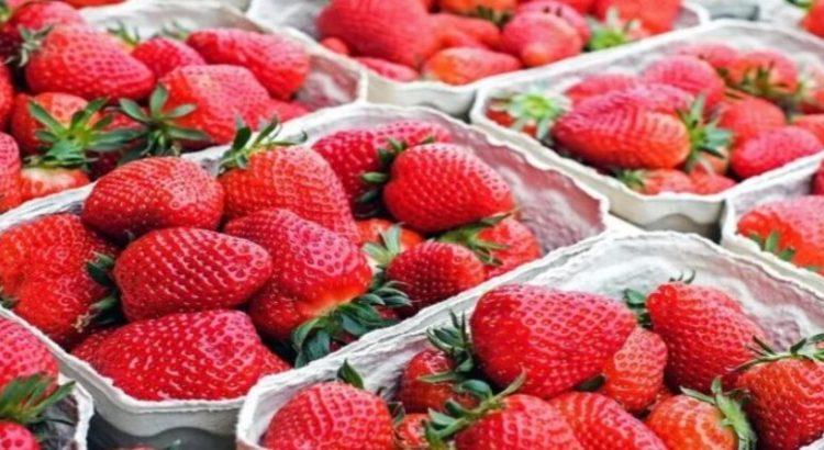 Alertan por fresas contaminadas de Baja California en Estados Unidos