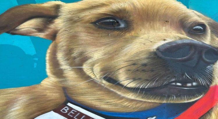 Le hacen mural a El Chicles, el perrito corredor de maratones de Tijuana