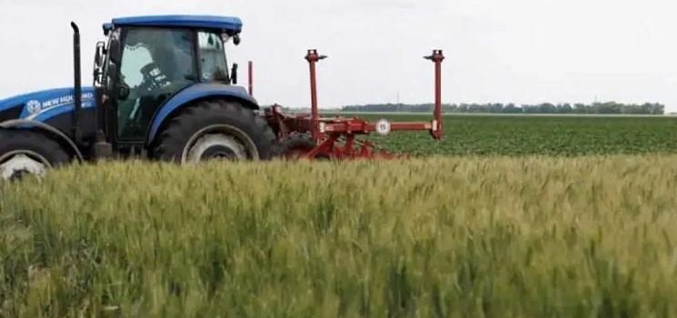 Rechaza Rusia extender acuerdo sobre granos de Ucrania Rechaza Rusia extender acuerdo sobre granos de Ucrania