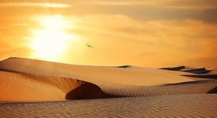 Desierto de Altar, el lugar más caluroso del mundo