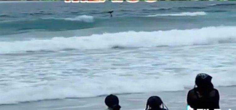 Captan presunta sirena en Tijuana