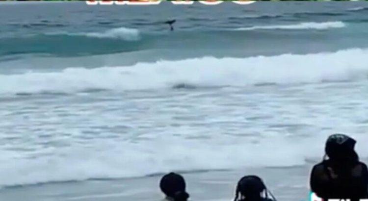 Captan presunta sirena en Tijuana