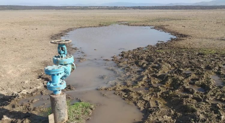 Sequía afecta 33% de la superficie terrestre de Baja California