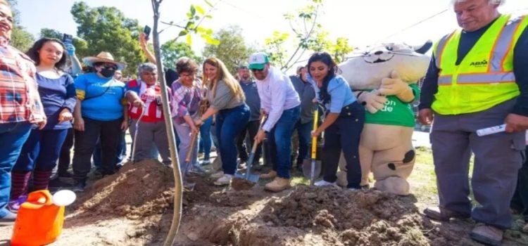 Incrementan hasta un 15% las áreas verdes en la ciudad