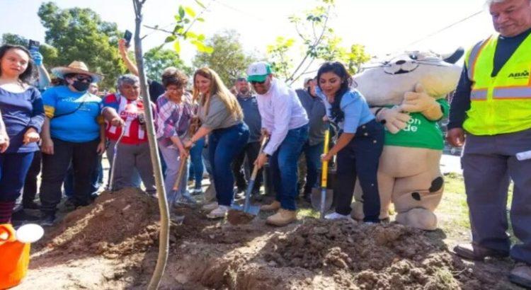 Incrementan hasta un 15% las áreas verdes en la ciudad