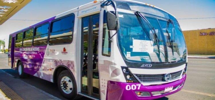 Incrementarán las unidades de Transporte Violeta en Tijuana