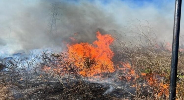 Vientos de Santa Ana reportan incendios en Tijuana y Rosarito