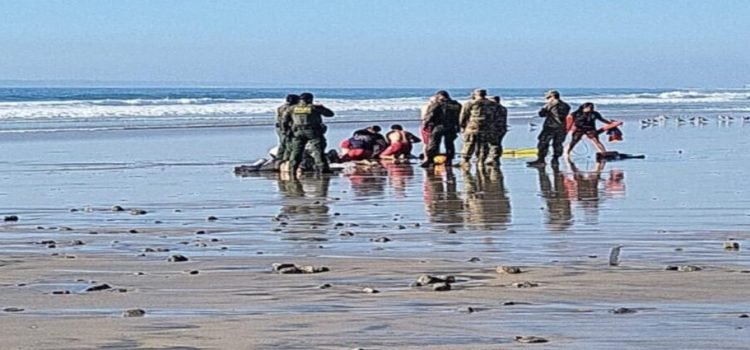 Salvan de ahogarse a 9 migrantes en Playas de Tijuana