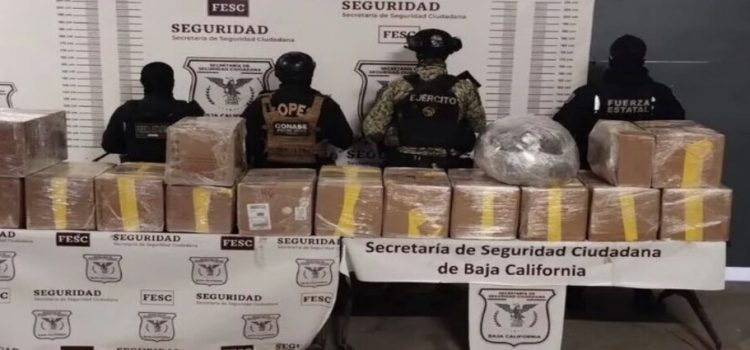 Incautan 550 kilogramos de diversas drogas sintéticas en Tijuana