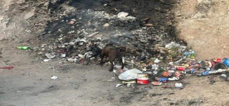 Dos menores fueron rescatados tras caer de un cerro