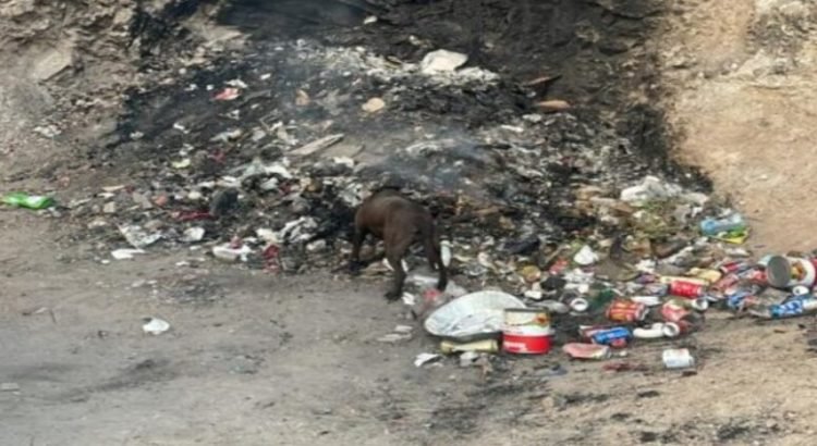 Dos menores fueron rescatados tras caer de un cerro