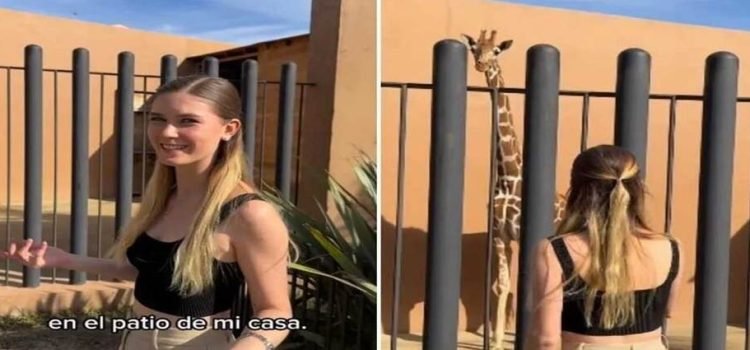 Critican a hija de Hank Rhon por presumir jirafa en su patio; usuarios se indignan