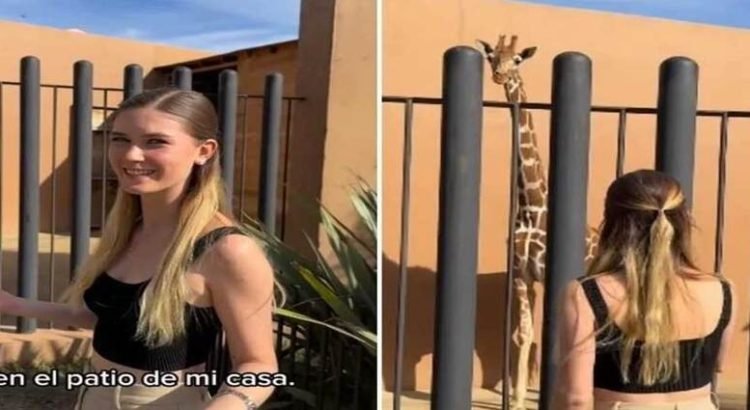 Critican a hija de Hank Rhon por presumir jirafa en su patio; usuarios se indignan