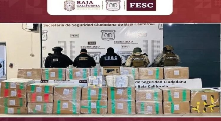Sedena descubre más de media tonelada de metanfetamina en una camioneta