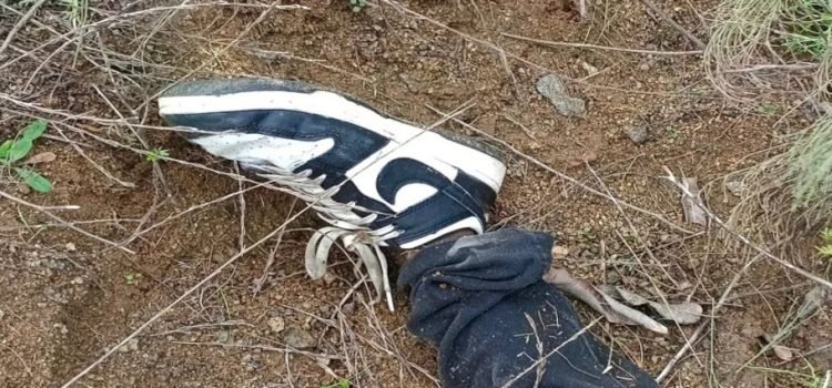 Colectivos de búsqueda localizaron 5 cuerpos en Tijuana