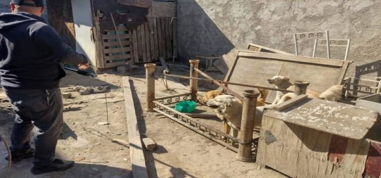 Incrementan los casos de maltrato animal en Tijuana