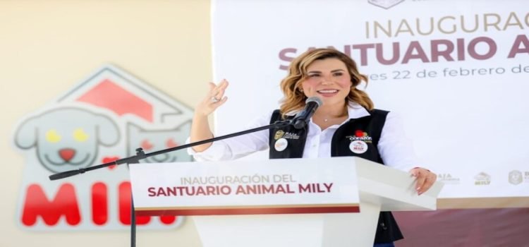 Presentan avances del Santuario Animal Mily