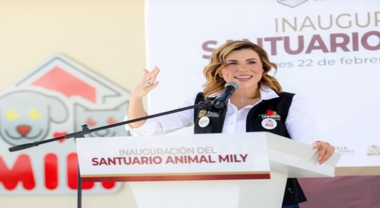 Presentan avances del Santuario Animal Mily