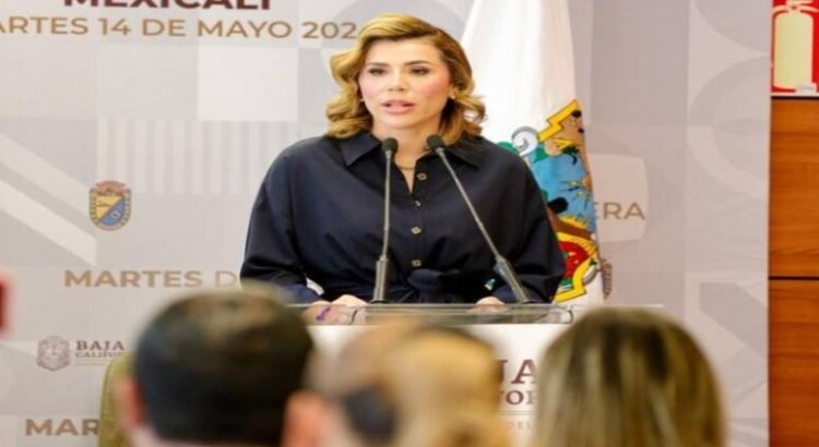 La gobernadora asegura que tendrán protección todos los candidatos que lo soliciten