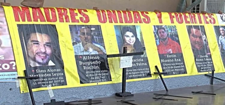 Baja California reporta 800 denuncias por desaparición de personas