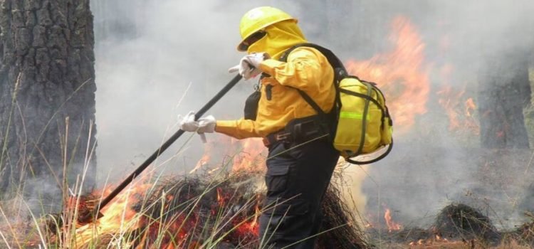 En Tijuana incrementaron 24% los incendios forestales