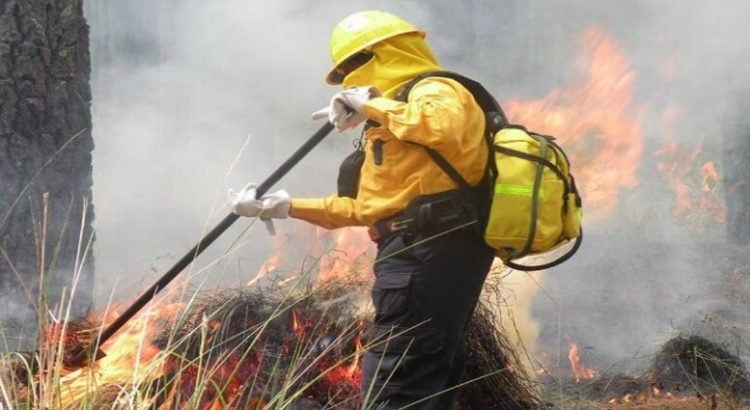 En Tijuana incrementaron 24% los incendios forestales