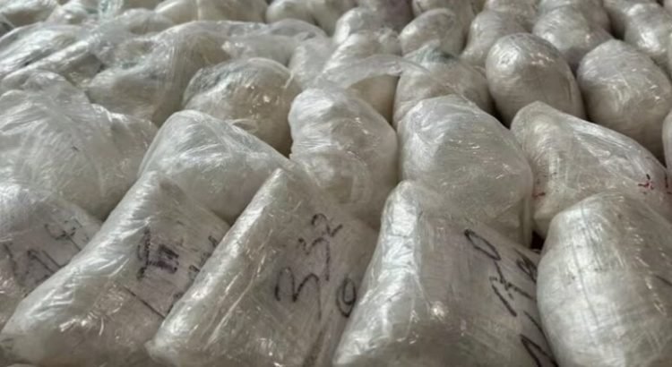 Decomisan millonario cargamento de metanfetamina