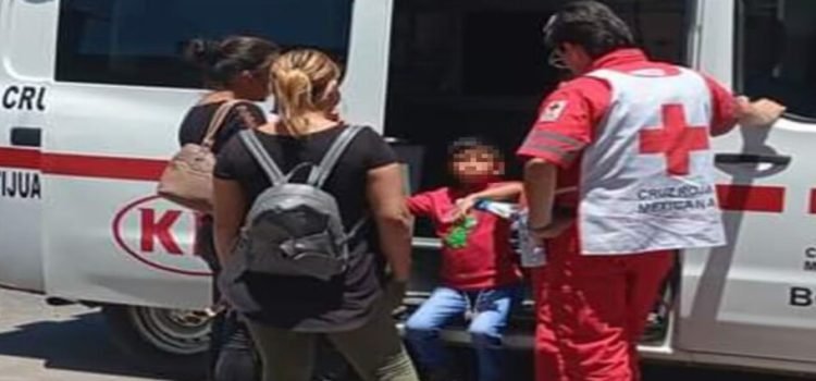 Perro callejero muerde a niño migrante