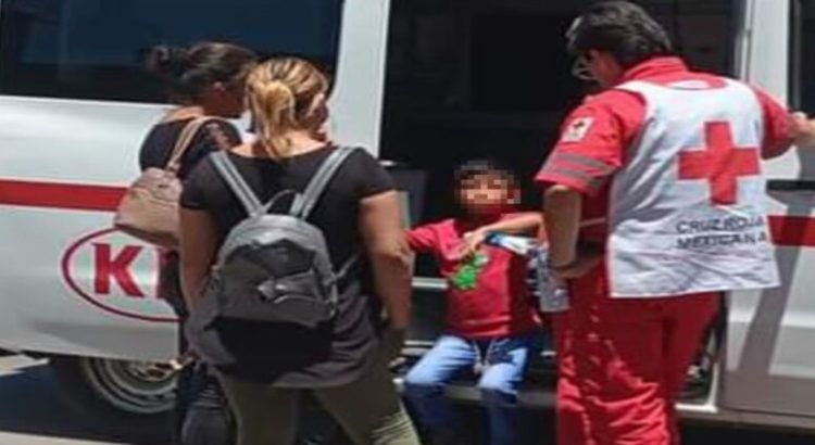 Perro callejero muerde a niño migrante
