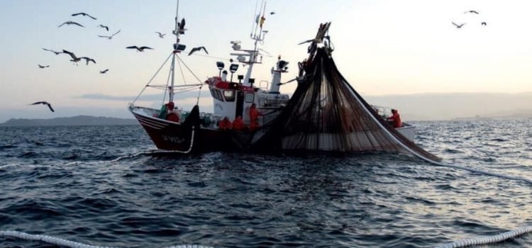 La pesca ilegal ha incrementado en la entidad en los últimos cuatro años