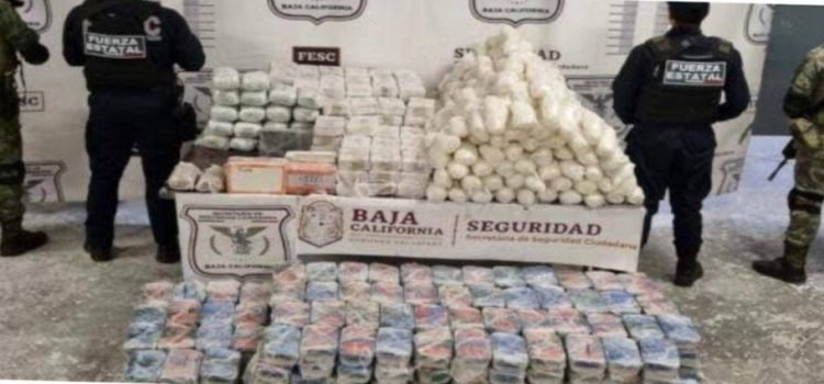 Decomisan medio millón de dólares en drogas en BC