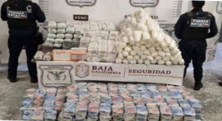 Decomisan medio millón de dólares en drogas en BC