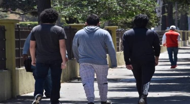 Los hombres jóvenes constituyen una cuarta parte de la población de Baja California