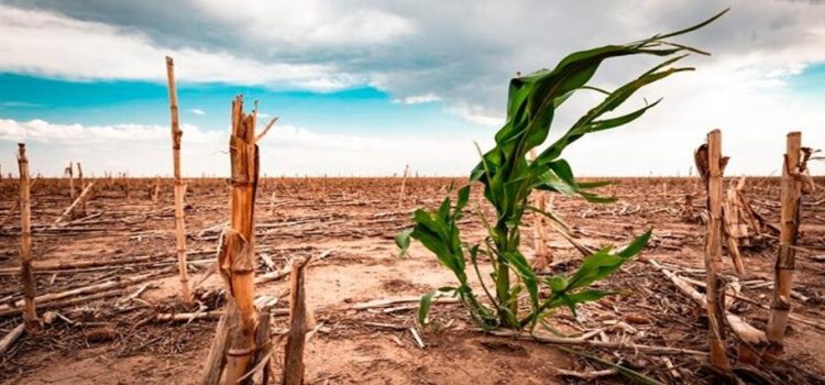 Baja California y Gran Bretaña se unen para combatir efectos del cambio climático