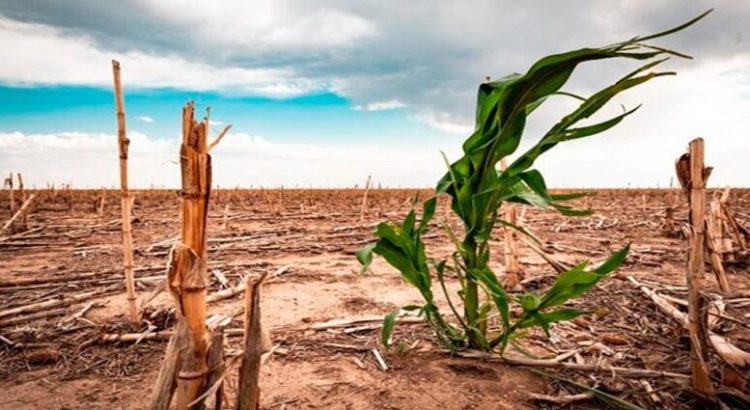 Baja California y Gran Bretaña se unen para combatir efectos del cambio climático