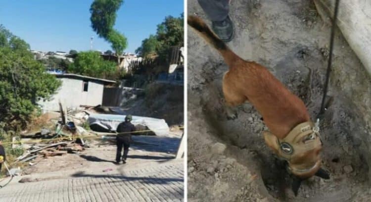 Encuentran osamenta en una vivienda de Tijuana