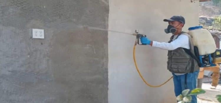 Inician campaña preventiva contra el dengue en Tijuana y Playas de Rosarito