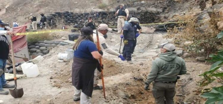 Colectivos localizan tres cuerpos en Tijuana