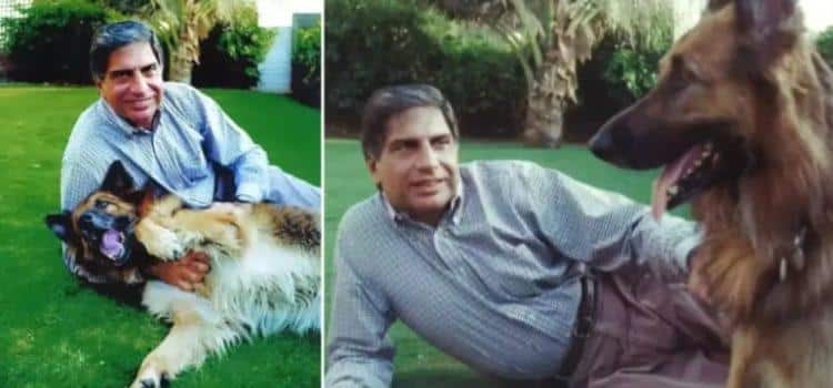 Ratan Tata: el magnate indio que aseguró una herencia millonaria para el cuidado de su perro