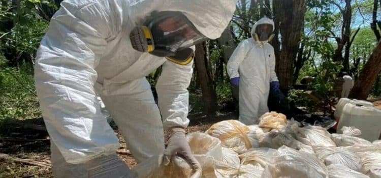 Ejército aseguran laboratorio clandestino en Baja California