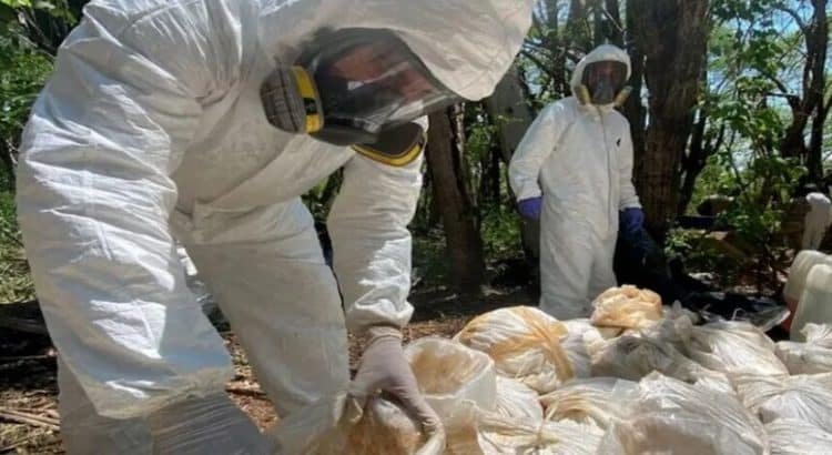 Ejército aseguran laboratorio clandestino en Baja California