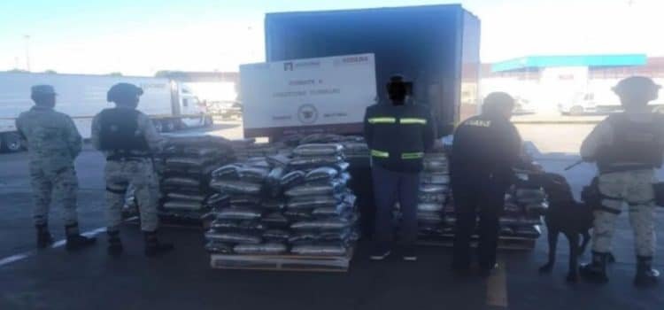 Decomisan casi tonelada y media de cocaína y metanfetamina en garita de Tijuana