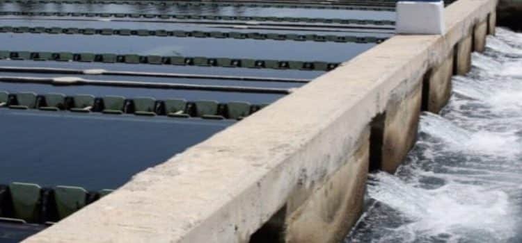 Federación proyecta más de 100 mdp en subsidios hídricos para BC
